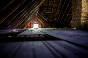 crawl space inspection